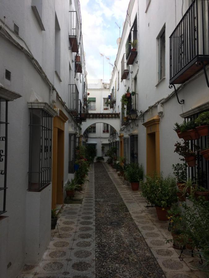 Lujosa Vivienda En Plena Juderia Lejlighed Córdoba Eksteriør billede